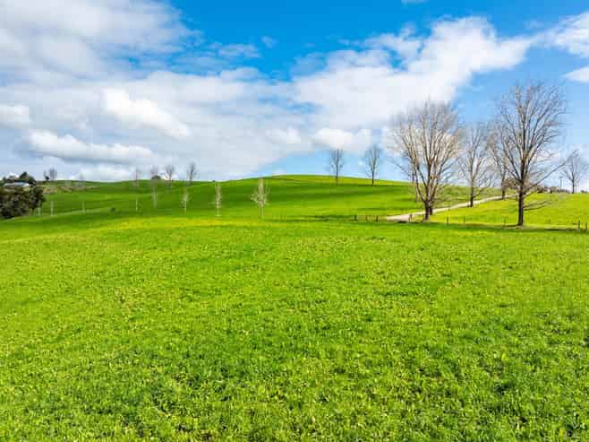 279 Kara Road, Maungatapere