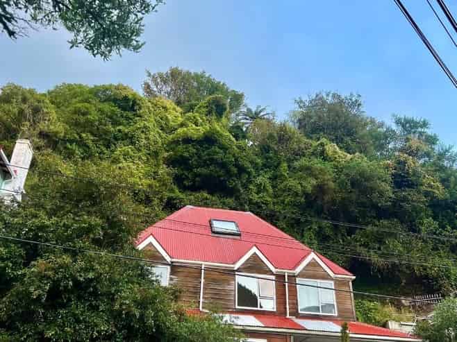 42 Epuni Street, Aro Valley