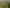 190 Regent Street, Martinborough
