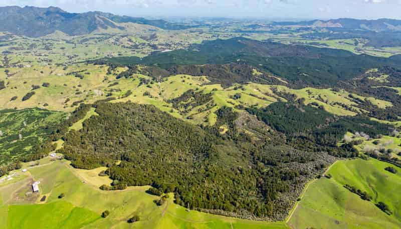  Baker Road, Maungatapere