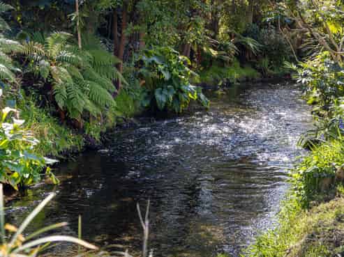 26A Weka Street, Fendalton