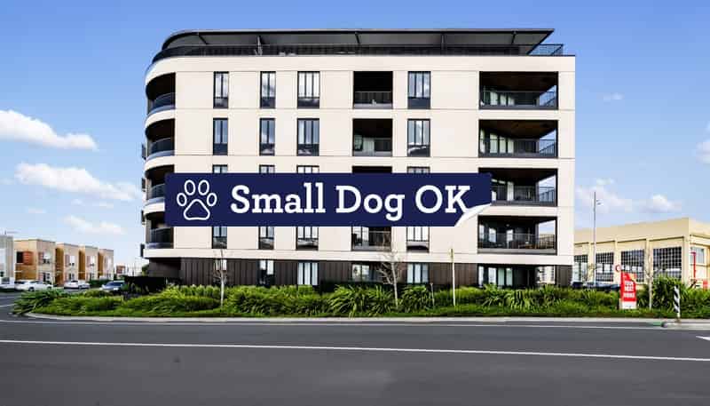 303/2 Launch Road, Hobsonville