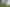 Auckland - Address withheld