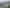 Auckland - Address withheld