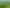955 Springs Road, Prebbleton