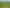 955 Springs Road, Prebbleton
