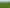 955 Springs Road, Prebbleton
