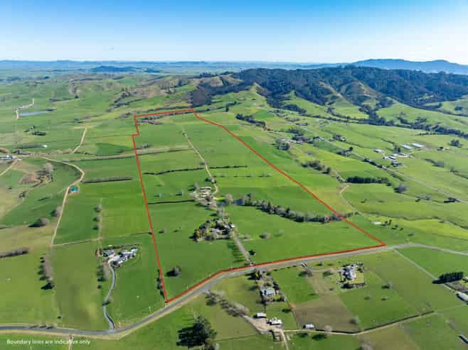 97 Herbert Road, Morrinsville