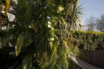 17 Wimbledon Way, Remuera