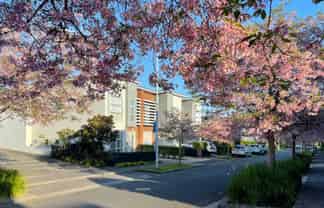 2 Station Street, Hobsonville