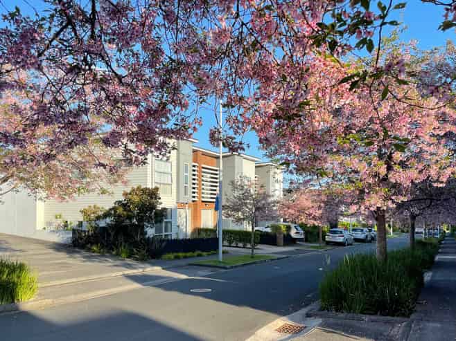 2 Station Street, Hobsonville