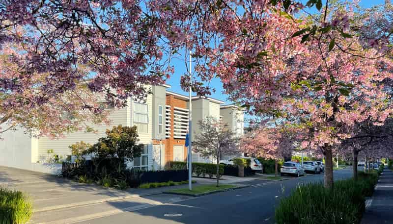 2 Station Street, Hobsonville