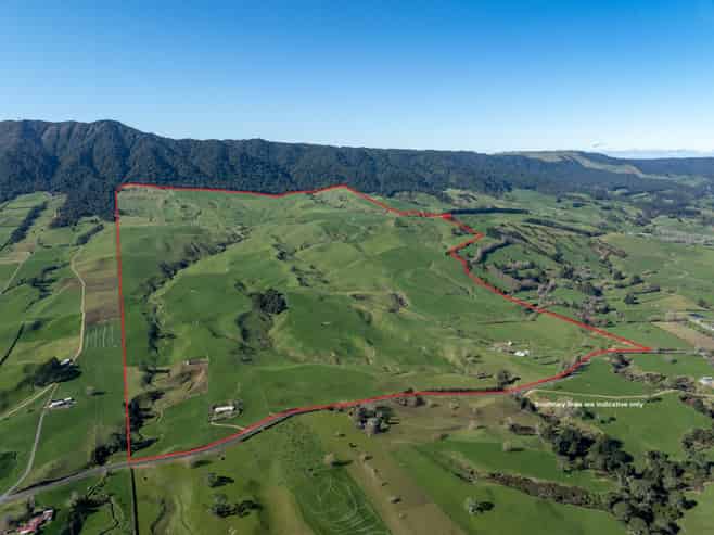 134 Old Te Aroha Road, Matamata