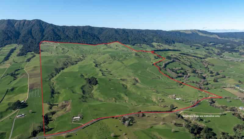 134 Old Te Aroha Road, Matamata