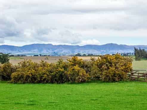 302 Beaconsfield Road, Fairview