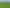 Large residential zoned land