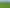 Large residential zoned land