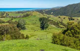 600 Hundalee Road, Kaikoura