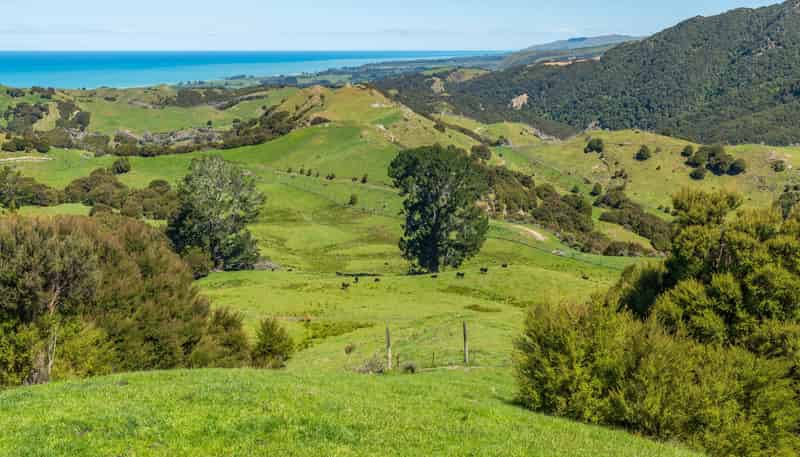 600 Hundalee Road, Kaikoura