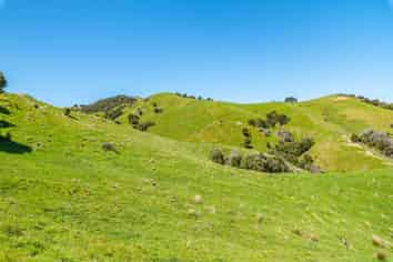 600 Hundalee Road, Kaikoura