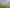 294 Polson Hill Drive, Aokautere