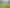 294 Polson Hill Drive, Aokautere