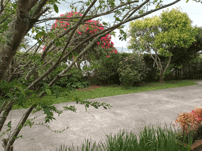 23 East Street, Greytown