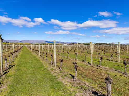 107  State Highway 63, Renwick