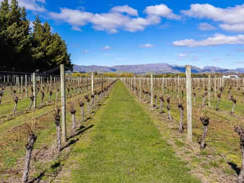 107  State Highway 63, Renwick