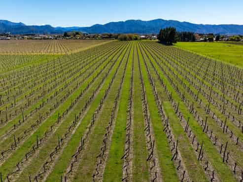 107  State Highway 63, Renwick