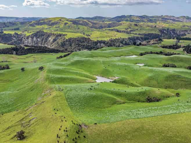 2152 Puketitiri Road, Rissington