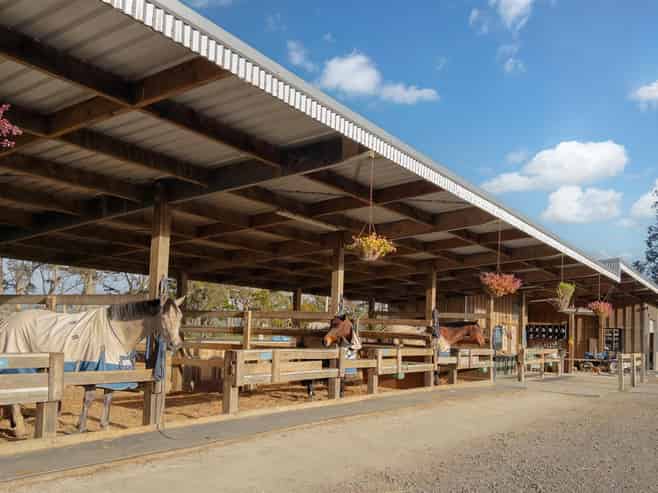  124 Rimmer Road, Helensville