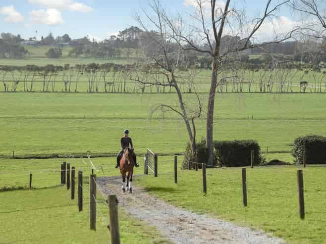  124 Rimmer Road, Helensville