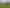 103 Anzac Road, Pukekohe