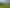 103 Anzac Road, Pukekohe