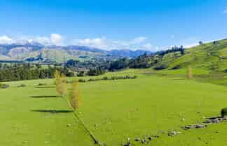 1139 Blackburn Road, Ongaonga