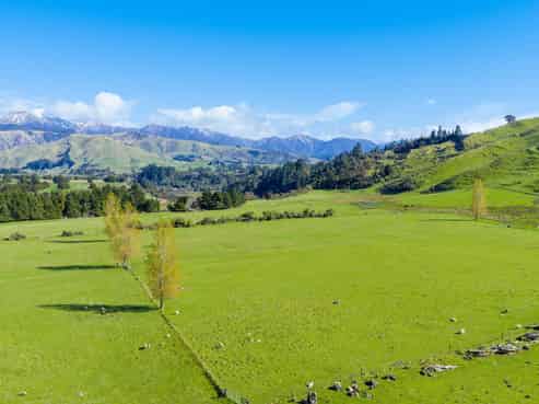 1139 Blackburn Road, Ongaonga