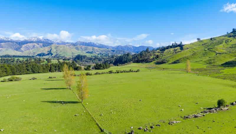 1139 Blackburn Road, Ongaonga