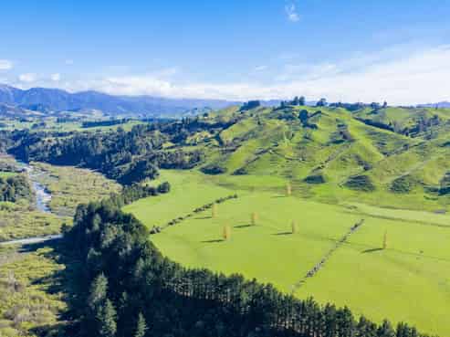 1139 Blackburn Road, Ongaonga