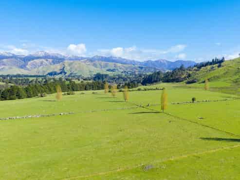 1139 Blackburn Road, Ongaonga