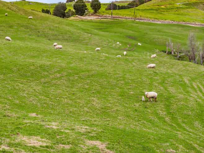 282 Taipuha Station Road, Paparoa