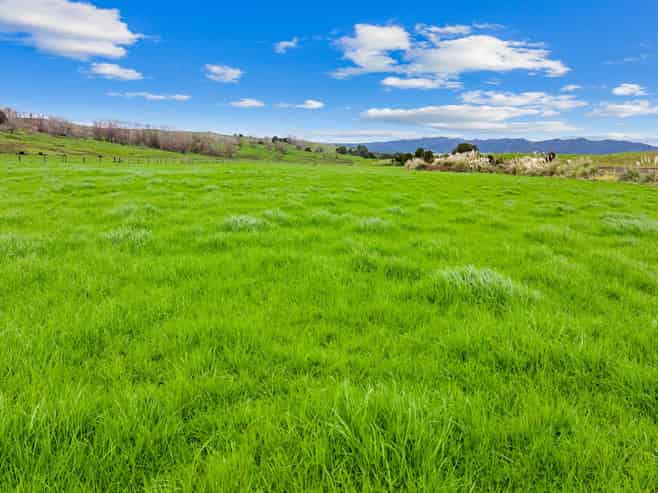 282 Taipuha Station Road, Paparoa