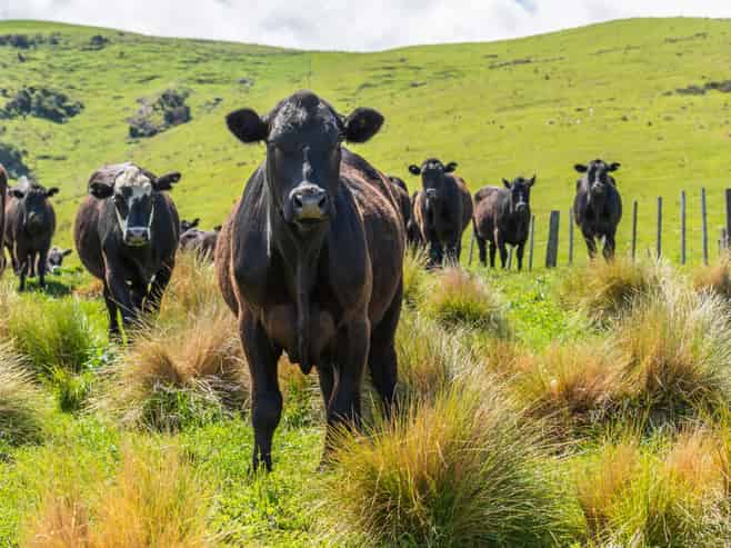2726 Christchurch Akaroa Road, Ataahua