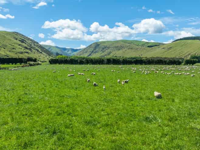 2726 Christchurch Akaroa Road, Ataahua