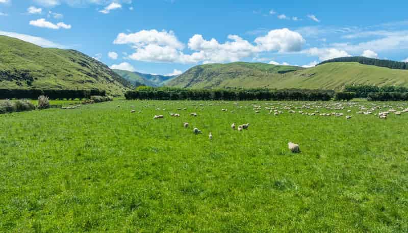 2726 Christchurch Akaroa Road, Ataahua