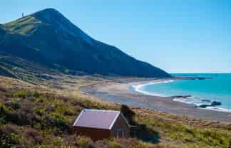 7611 State Highway 1, Ward