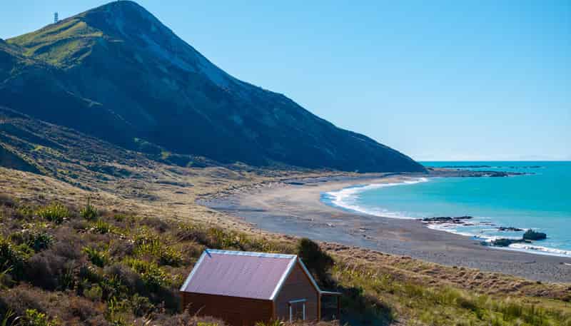 7611 State Highway 1, Ward