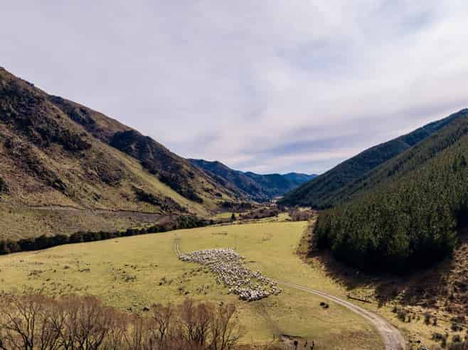 4098 Waihopai Valley Road, Waihopai Valley