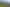 Industrial Land 9881m2 (Lot 9) Rangiuru