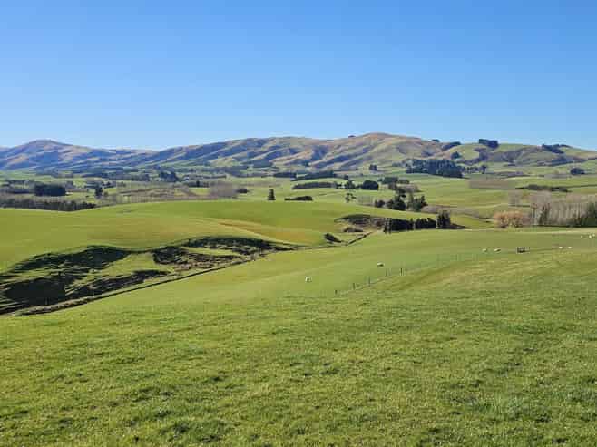 565 Bushy Park Road, Waikaka